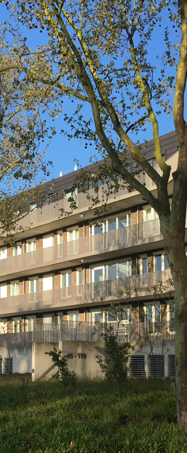 De Statie 05.jpg