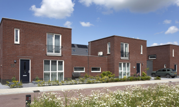 Bosselaar Zuid