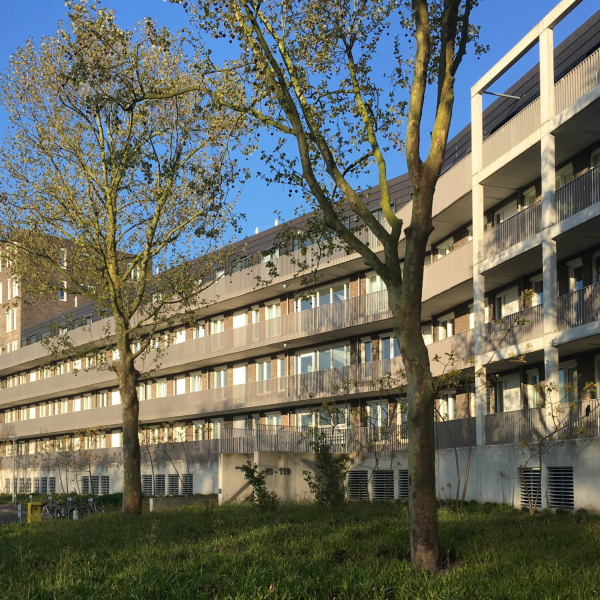 De Statie 05.jpg